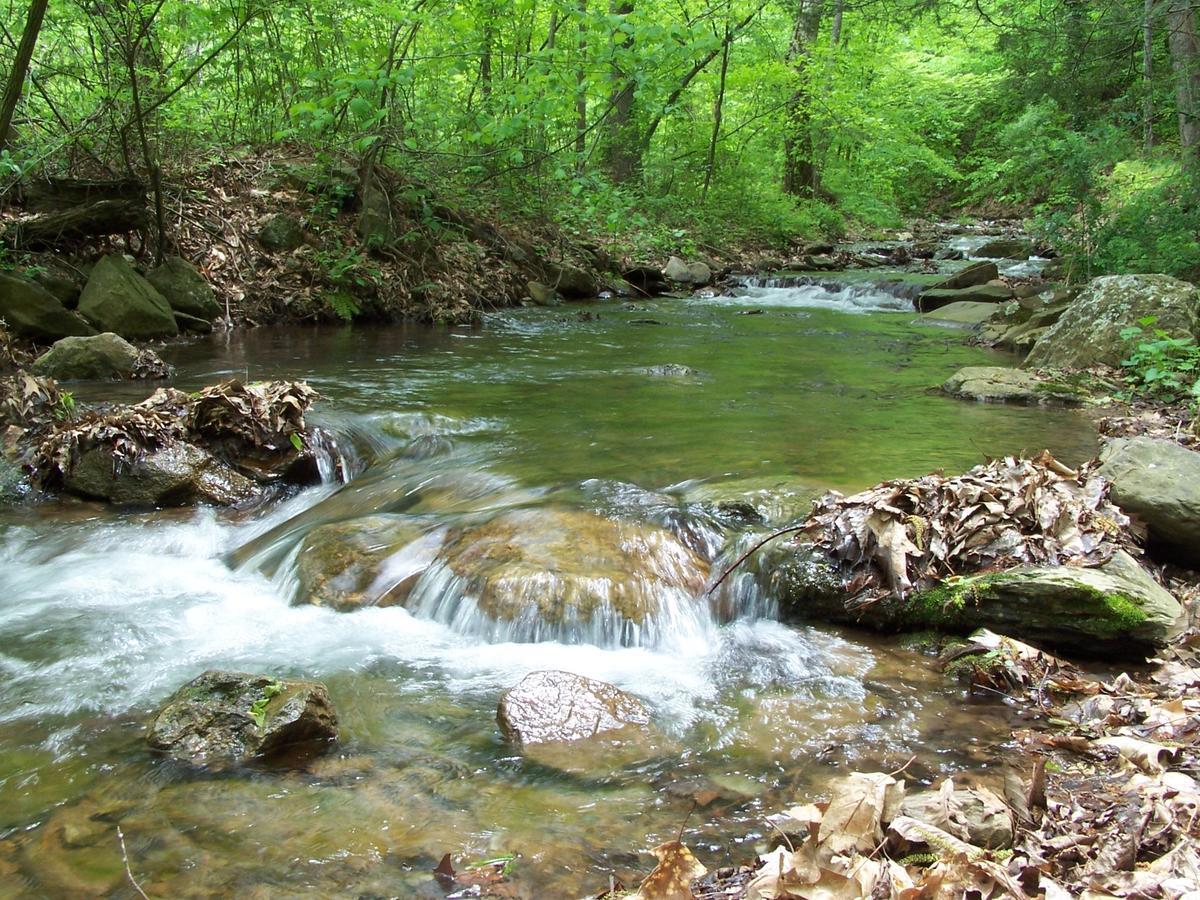 Cabin Creekwood Lyndhurst Kültér fotó
